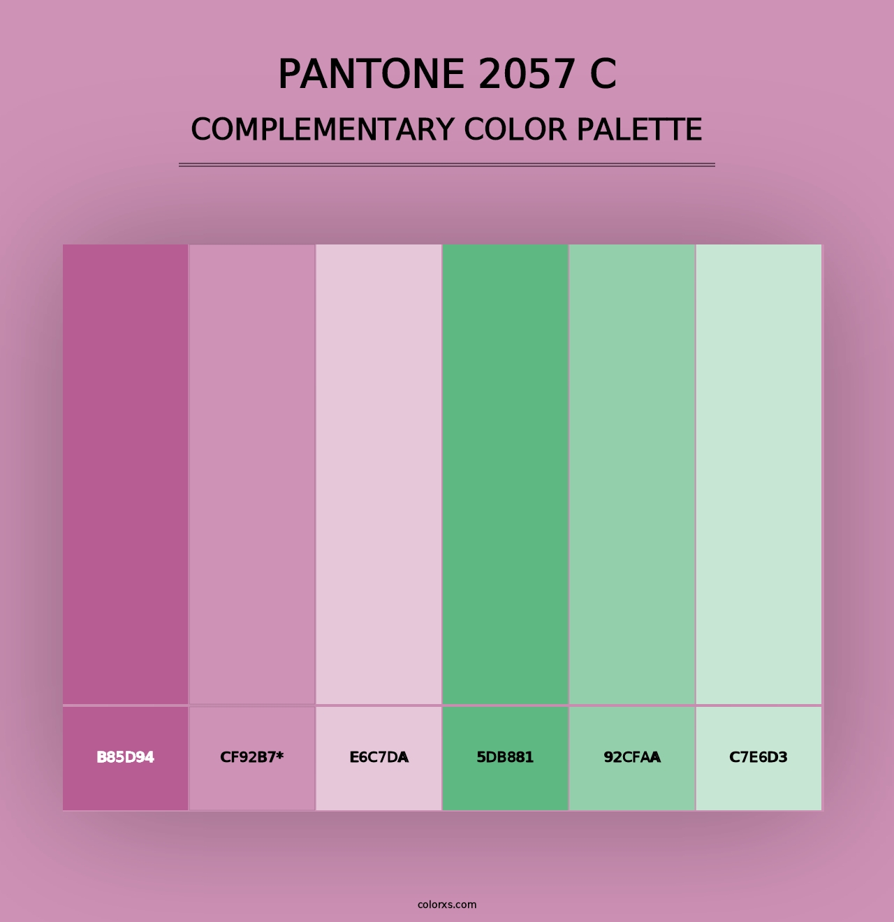 PANTONE 2057 C - Complementary Color Palette