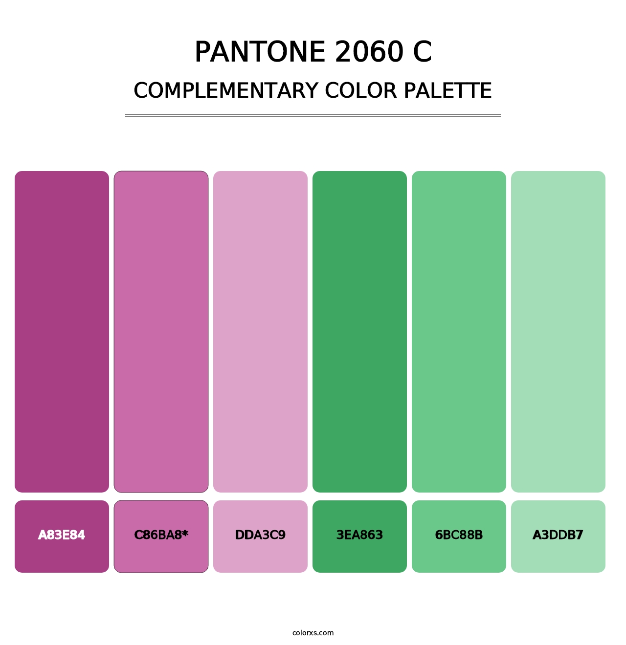 PANTONE 2060 C - Complementary Color Palette