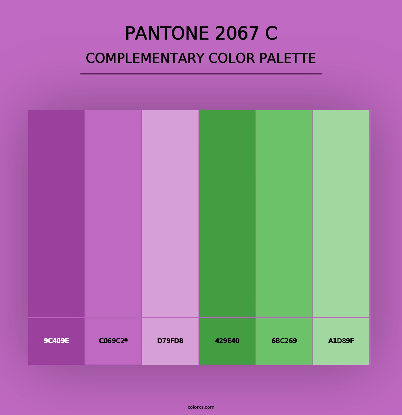 PANTONE 2067 C - Complementary Color Palette