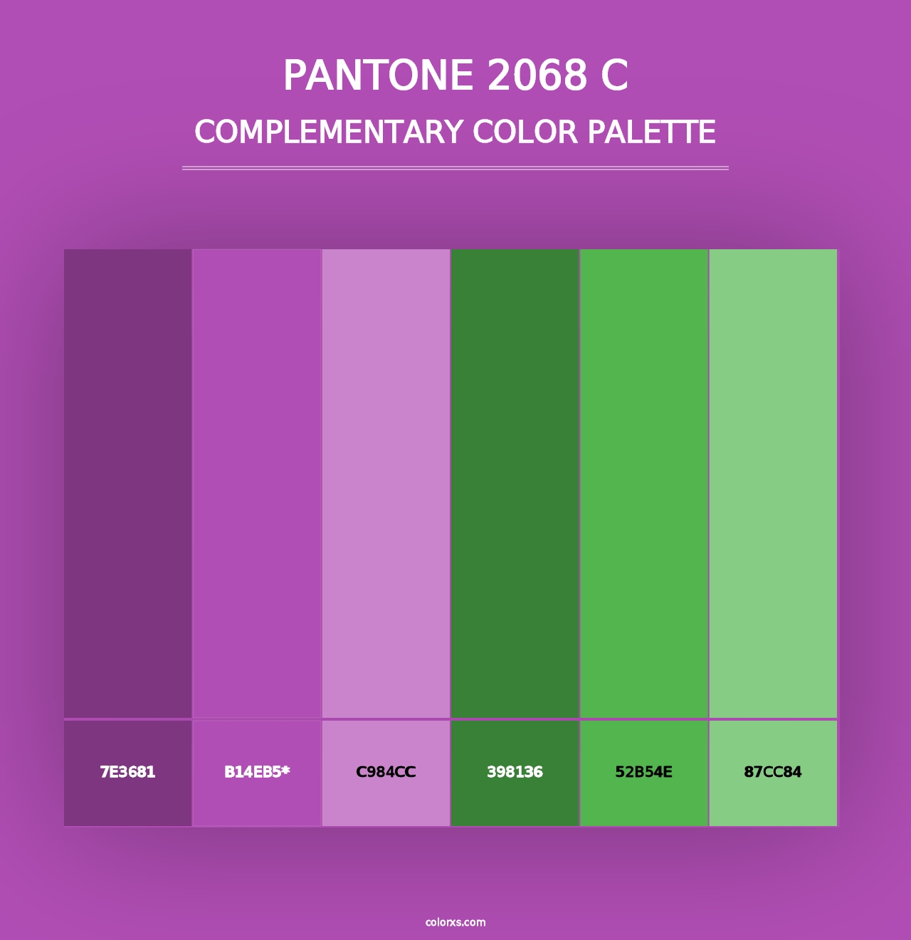 PANTONE 2068 C - Complementary Color Palette