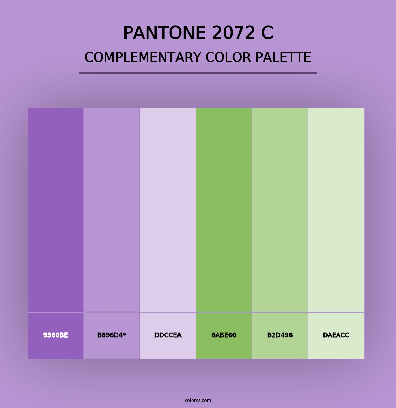 PANTONE 2072 C - Complementary Color Palette