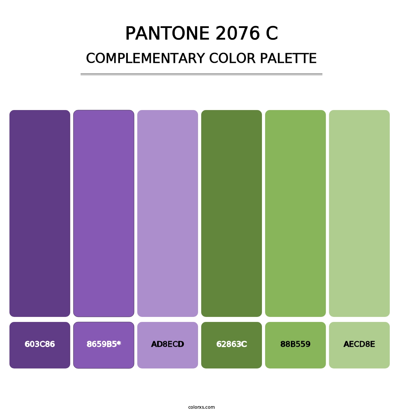 PANTONE 2076 C - Complementary Color Palette