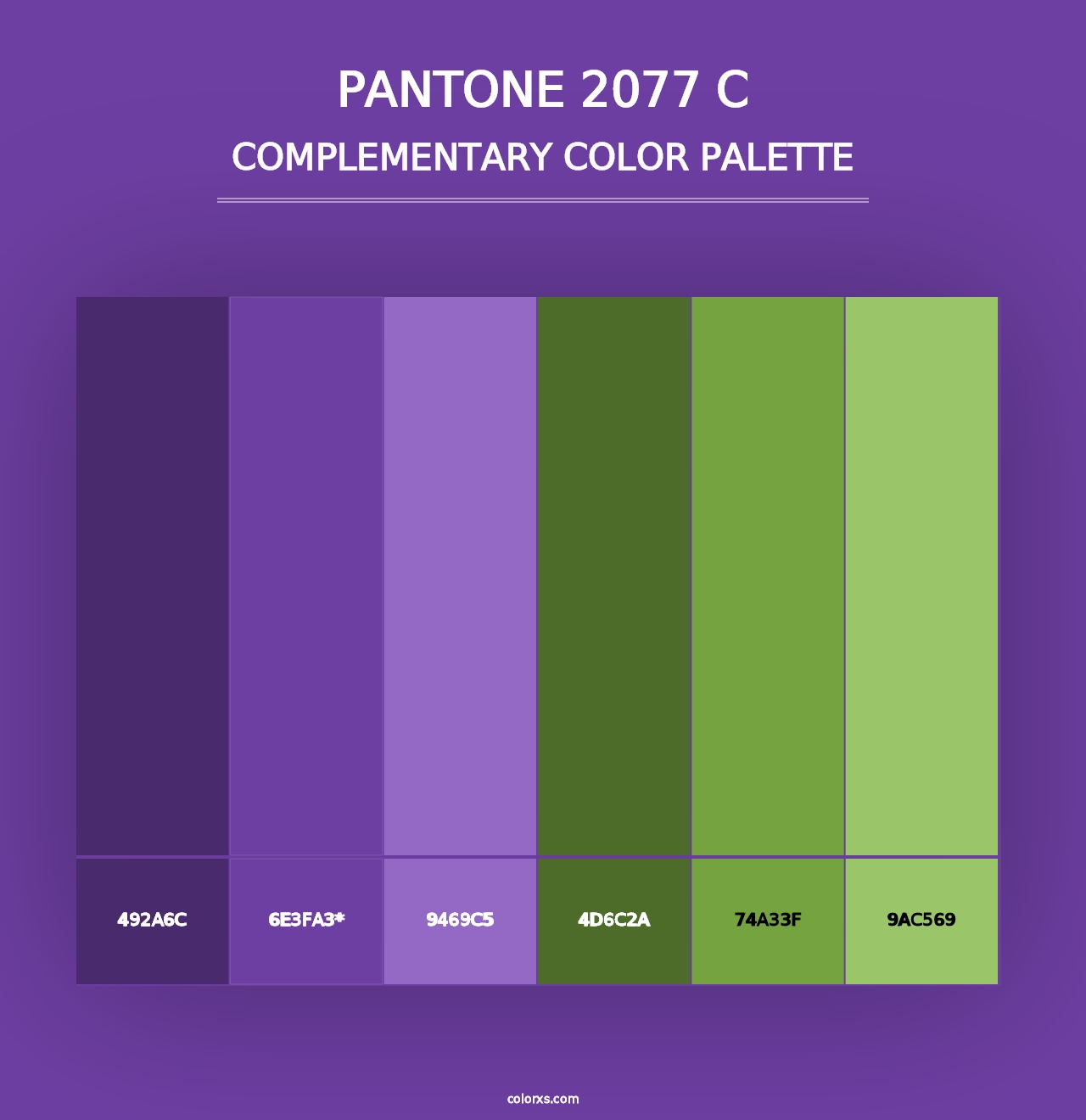 PANTONE 2077 C - Complementary Color Palette