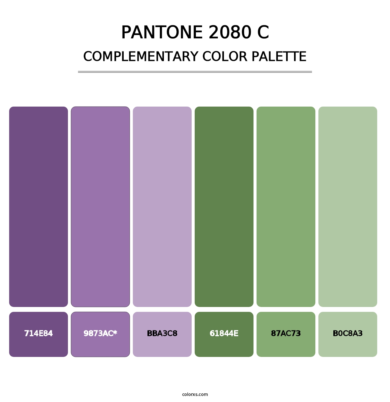 PANTONE 2080 C - Complementary Color Palette