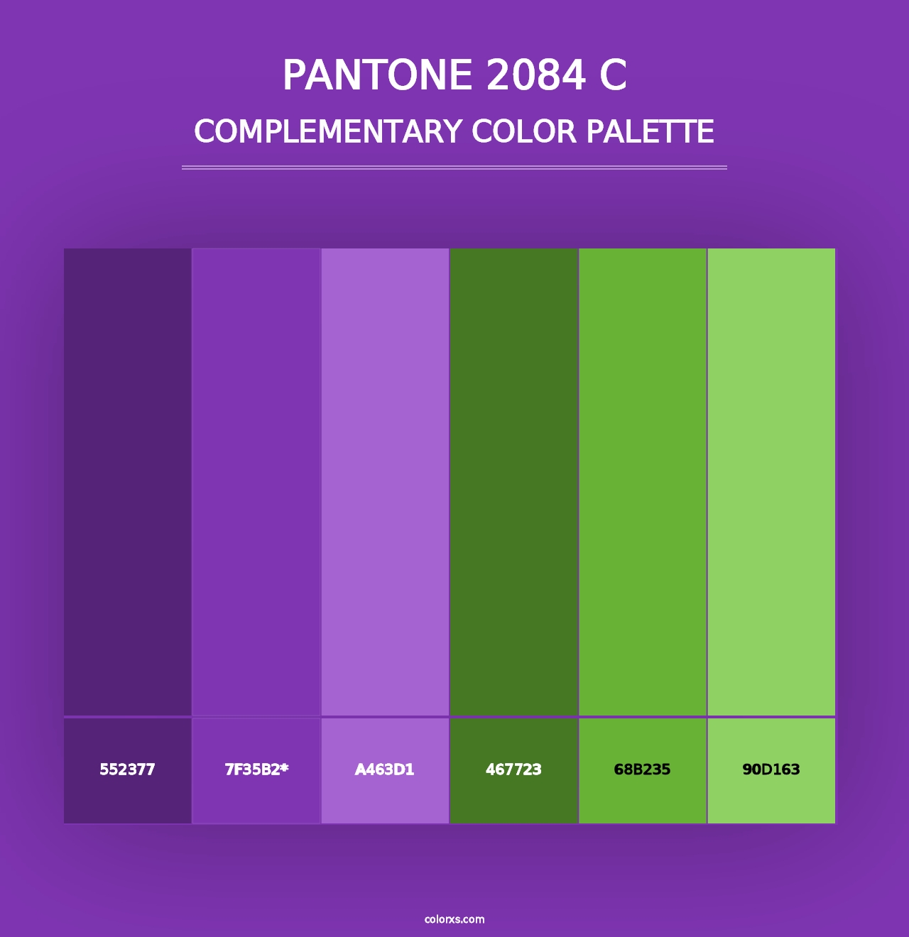 PANTONE 2084 C - Complementary Color Palette