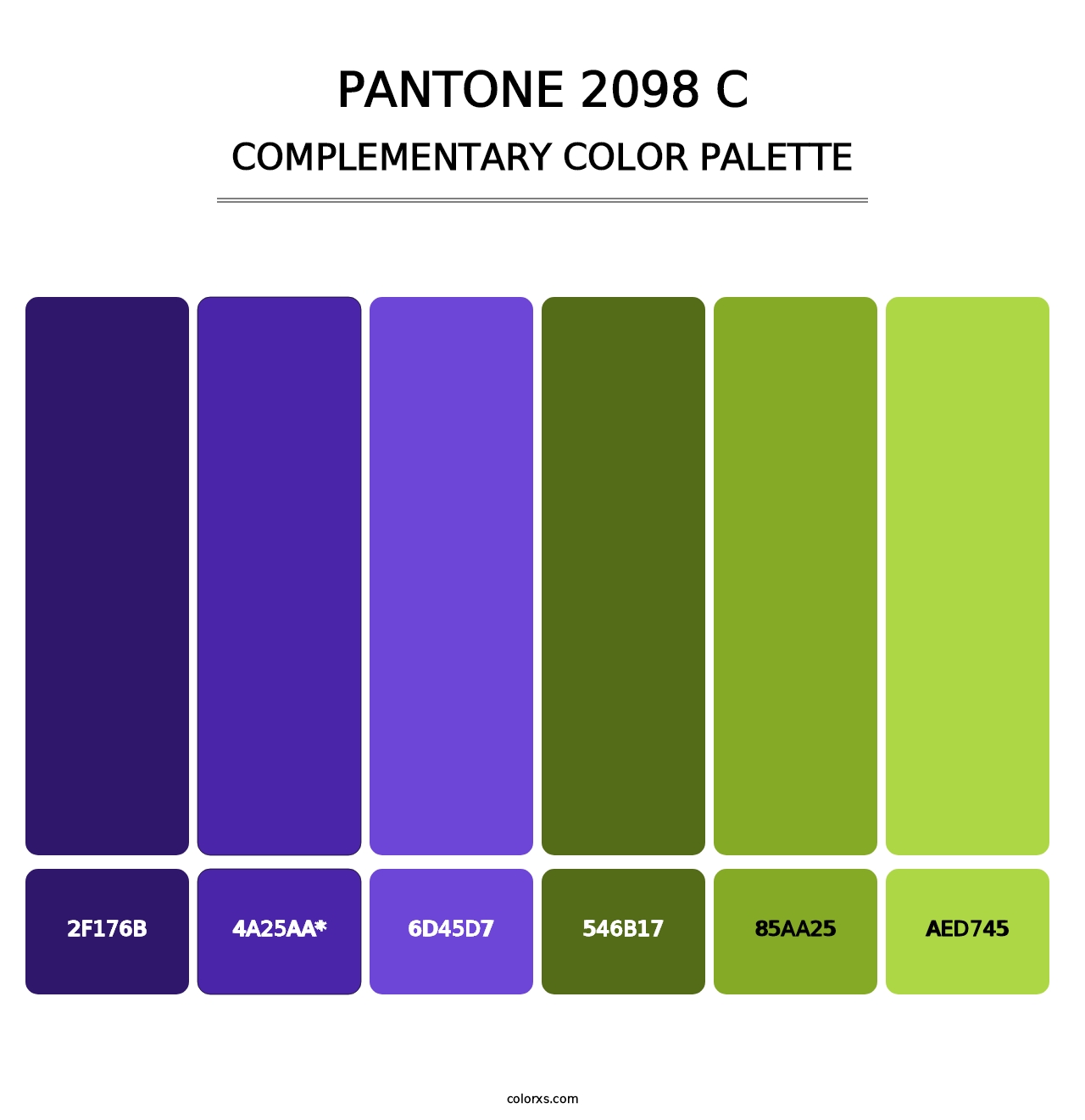 PANTONE 2098 C - Complementary Color Palette