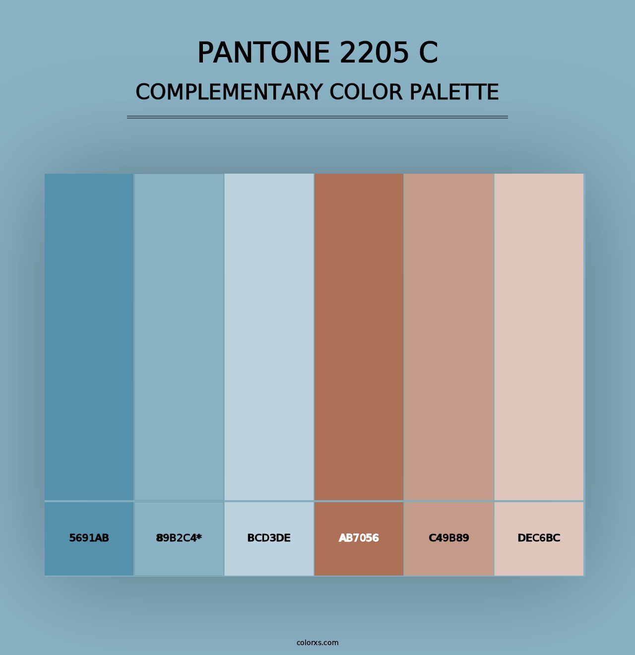 PANTONE 2205 C - Complementary Color Palette