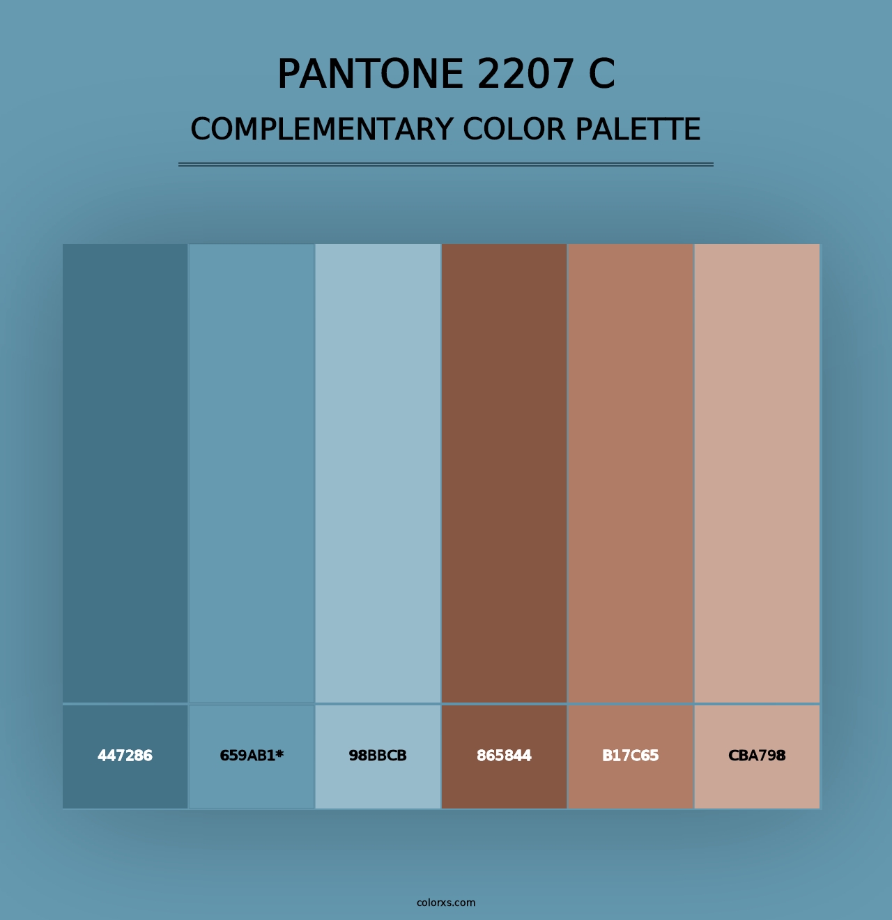 PANTONE 2207 C - Complementary Color Palette