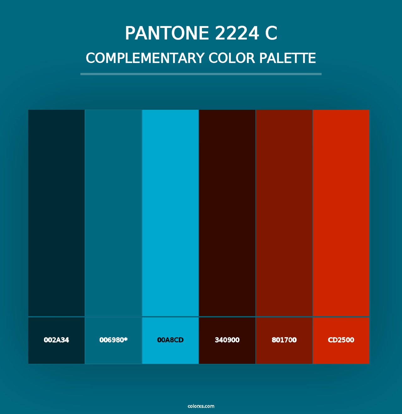 PANTONE 2224 C - Complementary Color Palette