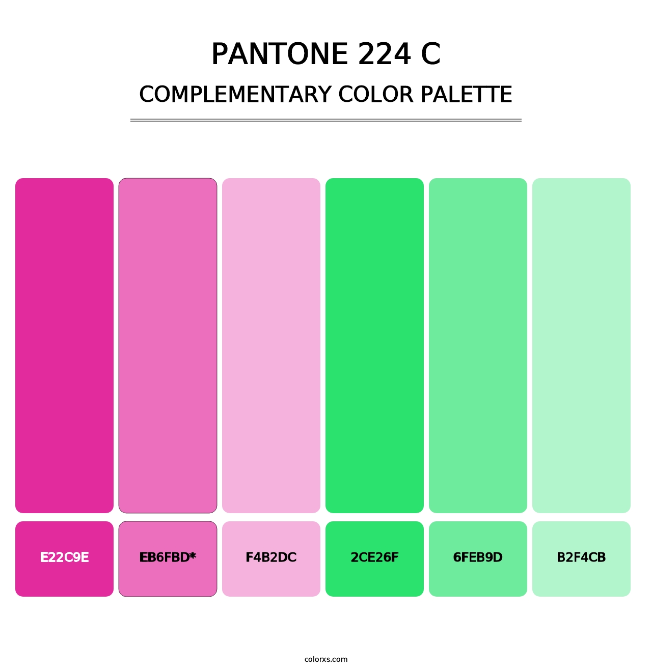 PANTONE 224 C - Complementary Color Palette