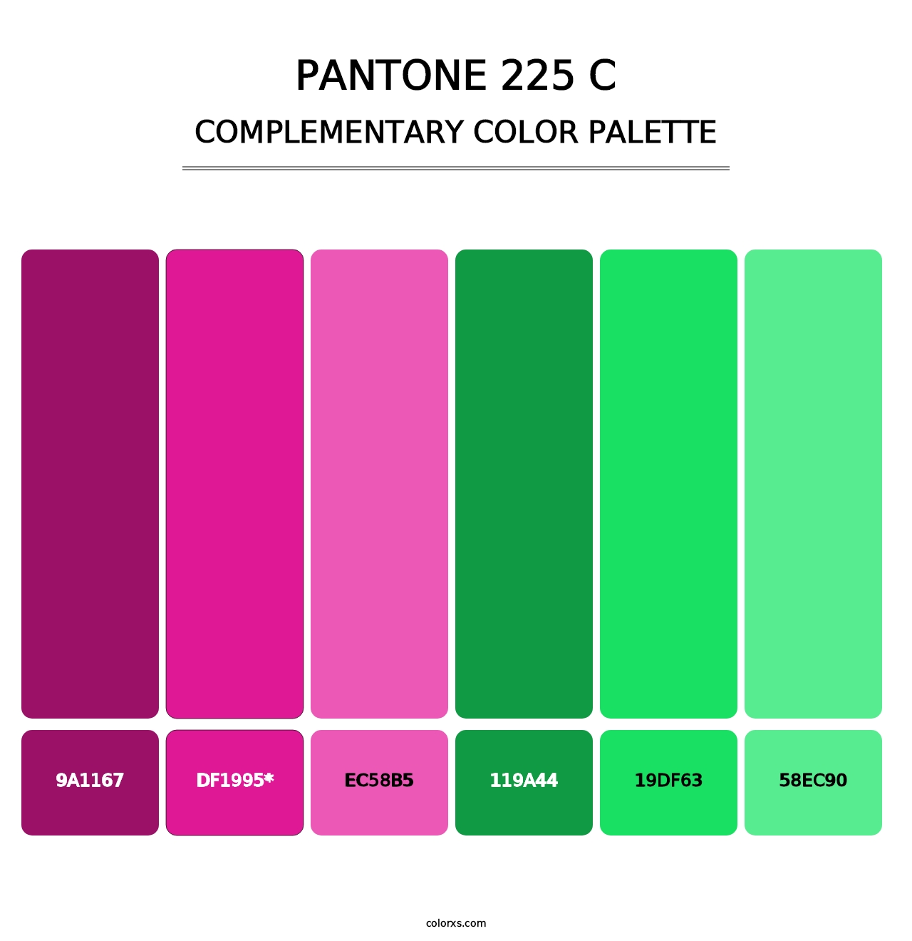 PANTONE 225 C - Complementary Color Palette