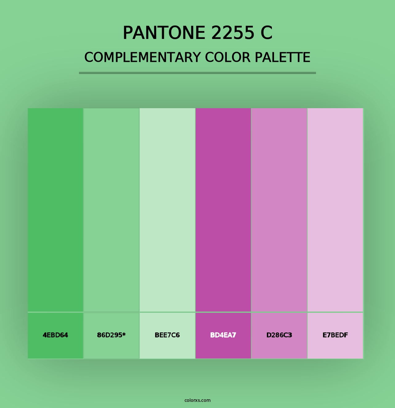 PANTONE 2255 C - Complementary Color Palette