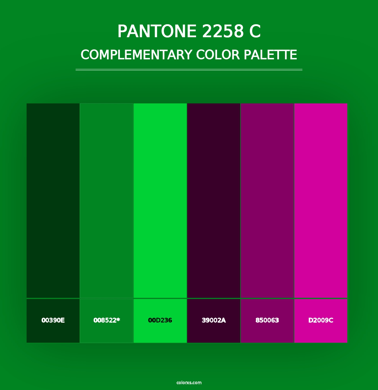 PANTONE 2258 C - Complementary Color Palette