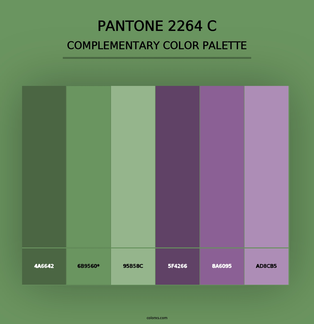 PANTONE 2264 C - Complementary Color Palette