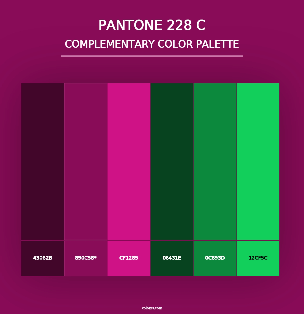 PANTONE 228 C - Complementary Color Palette