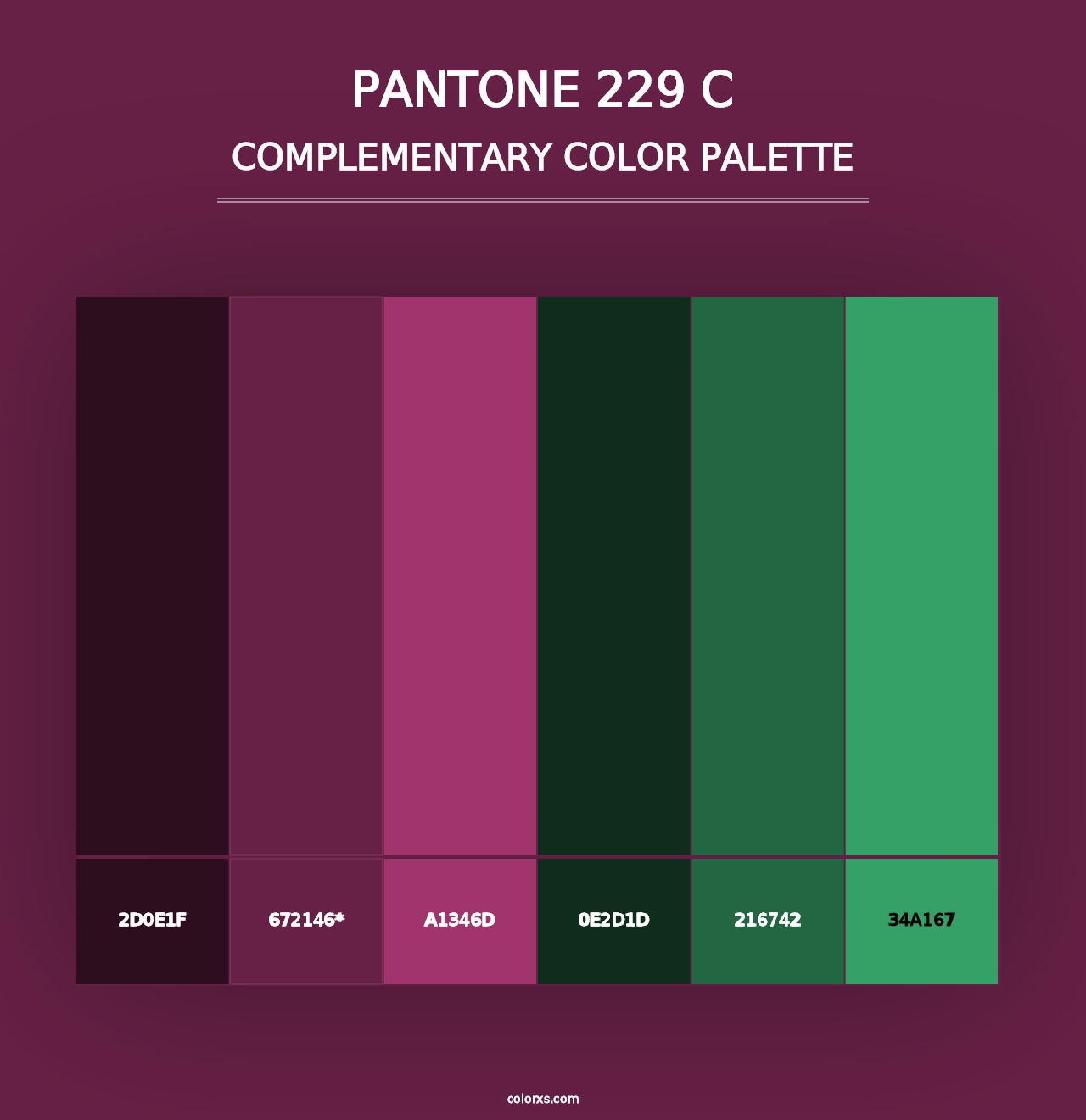 PANTONE 229 C - Complementary Color Palette