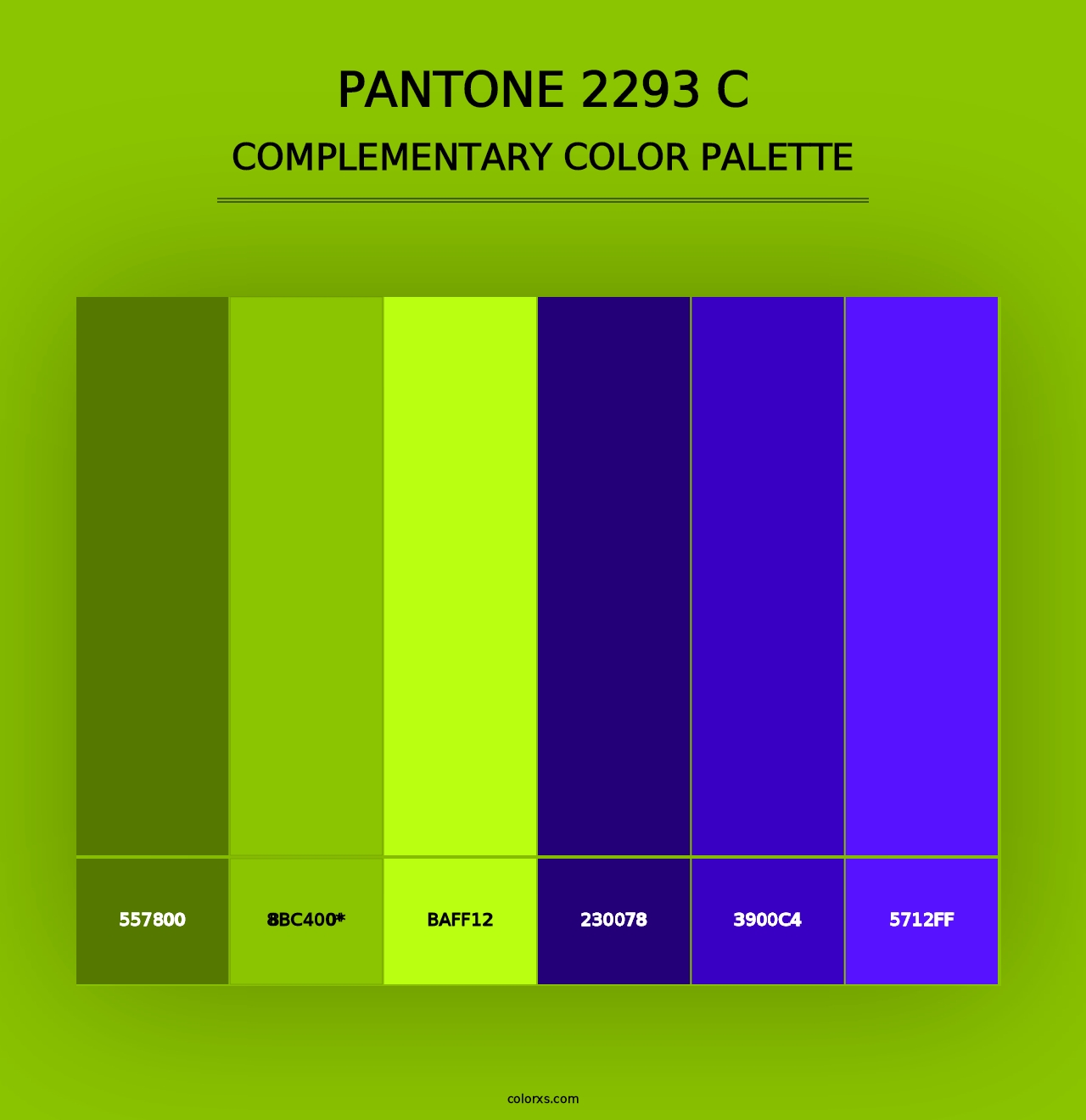 PANTONE 2293 C - Complementary Color Palette