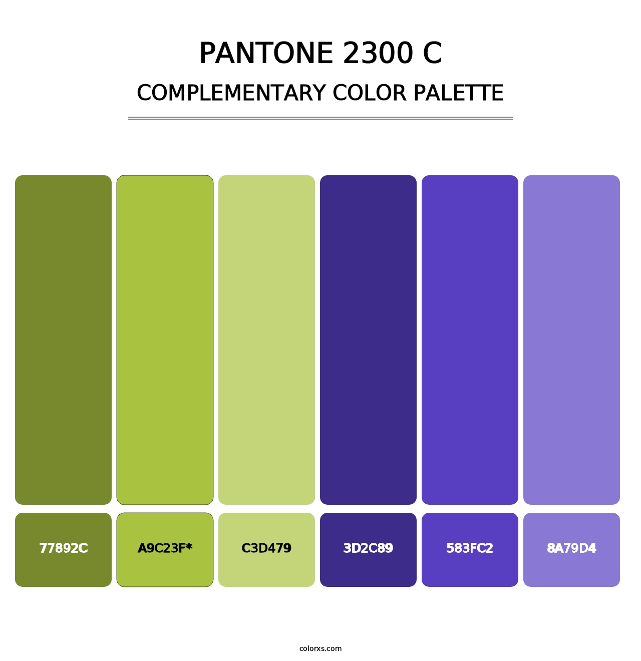 PANTONE 2300 C - Complementary Color Palette