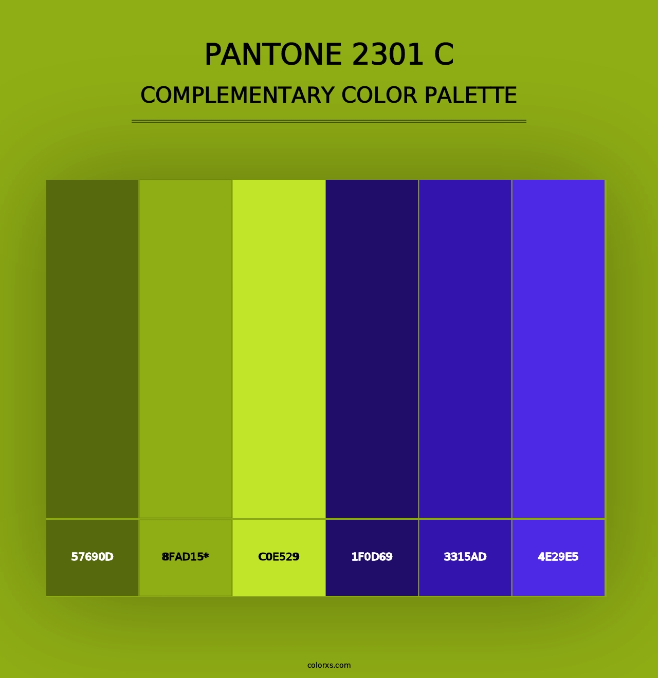 PANTONE 2301 C - Complementary Color Palette