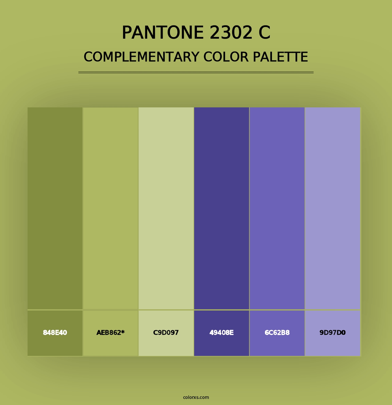 PANTONE 2302 C - Complementary Color Palette