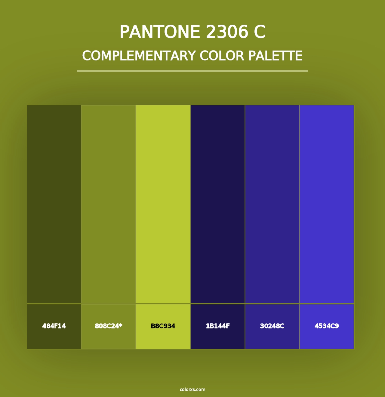 PANTONE 2306 C - Complementary Color Palette