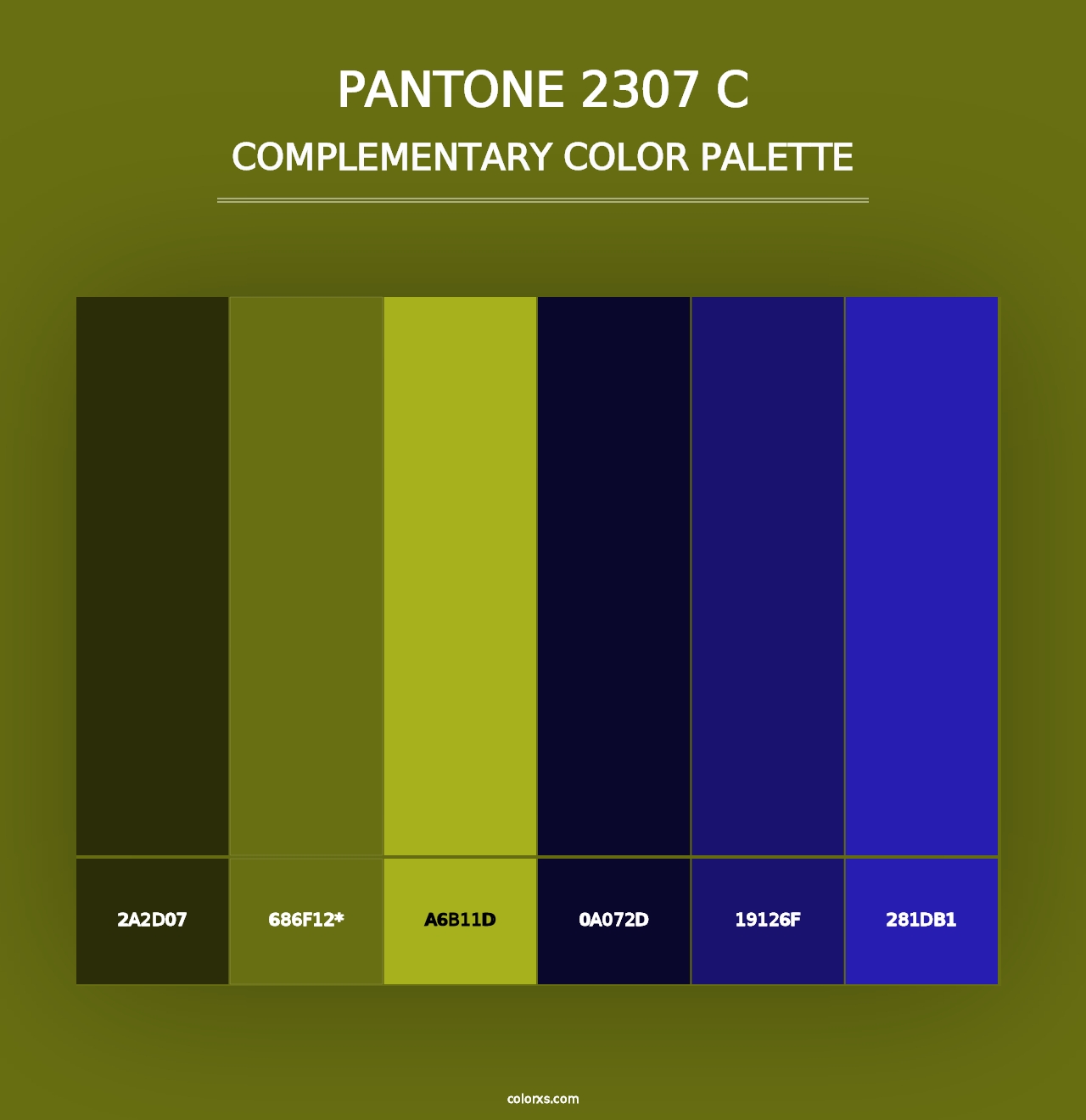 PANTONE 2307 C - Complementary Color Palette