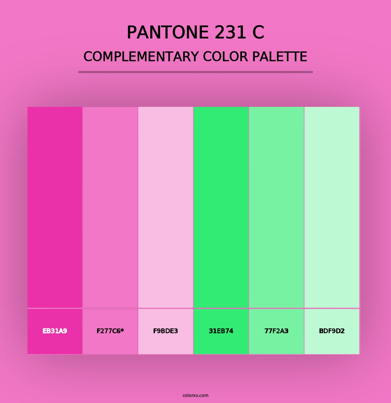 PANTONE 231 C - Complementary Color Palette