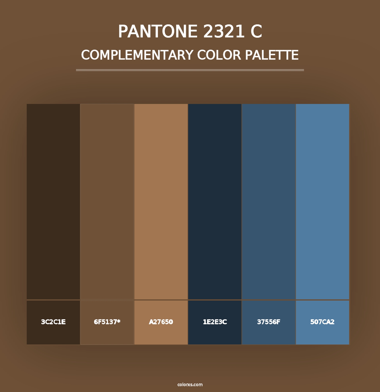 PANTONE 2321 C - Complementary Color Palette