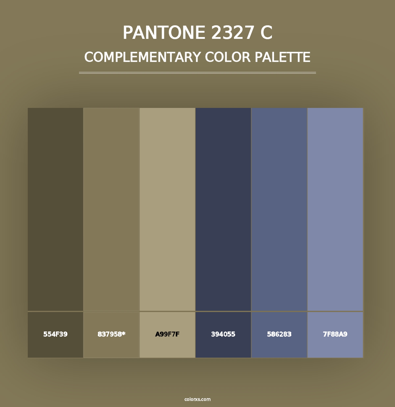 PANTONE 2327 C - Complementary Color Palette