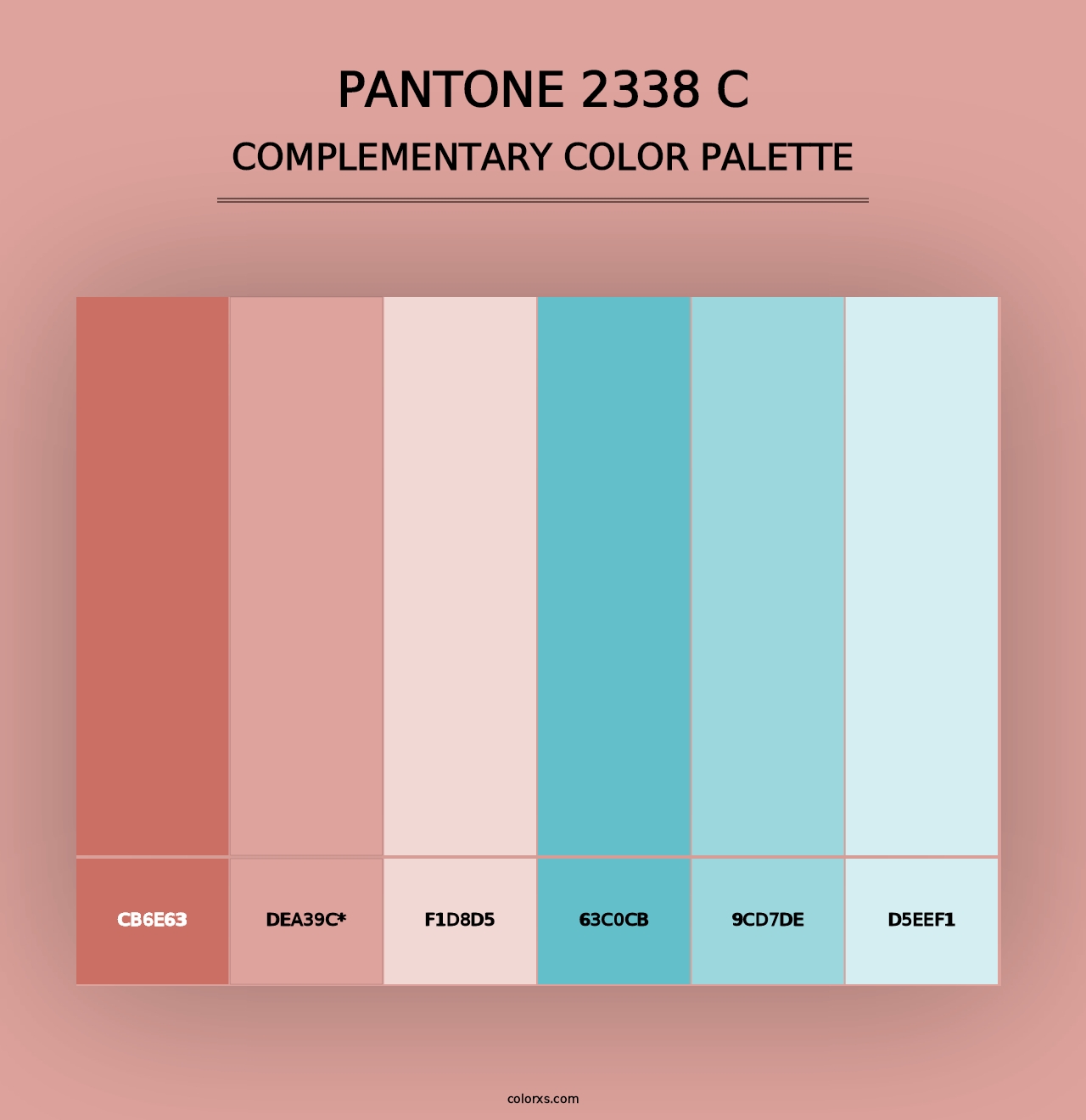 PANTONE 2338 C - Complementary Color Palette