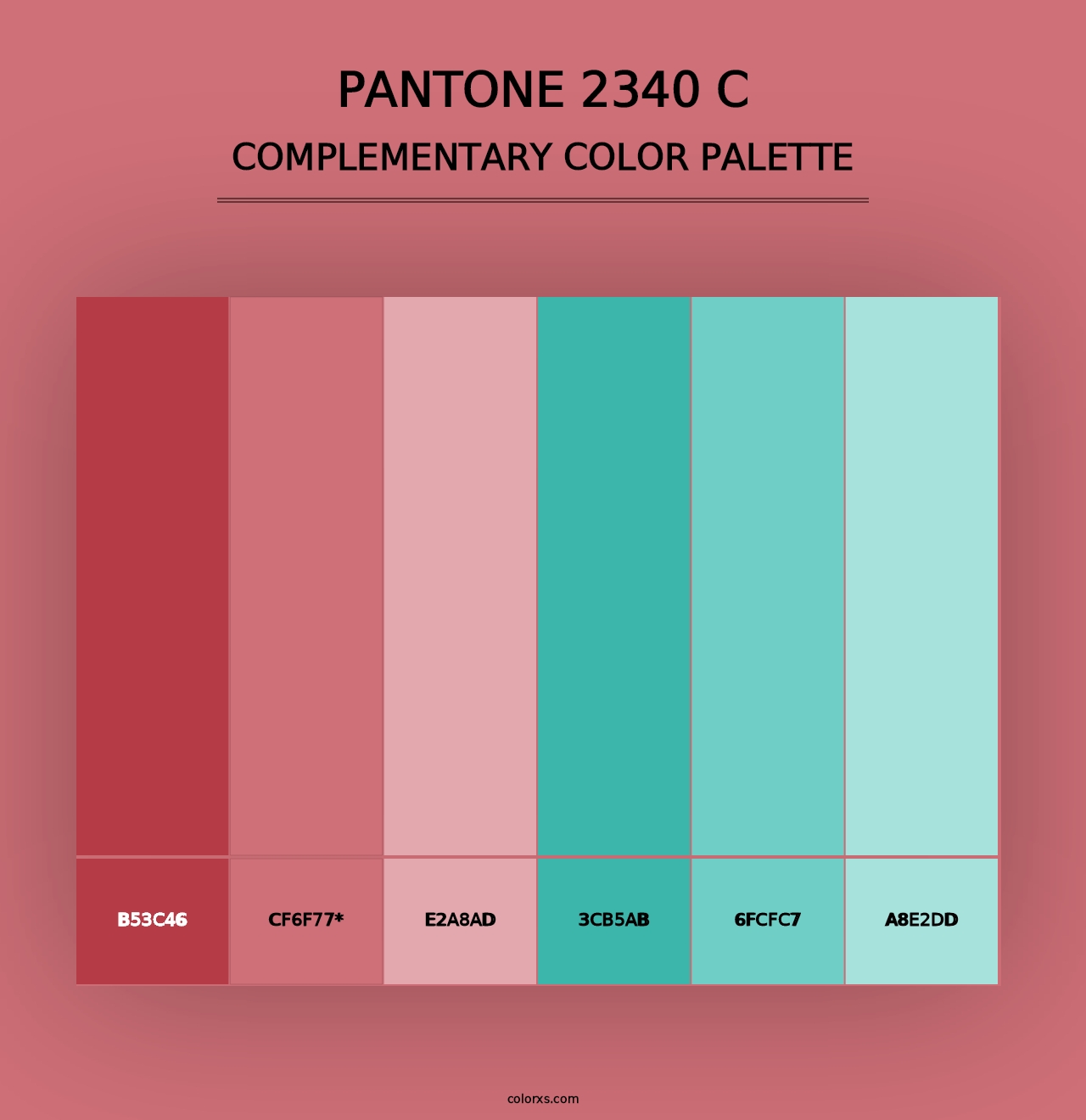 PANTONE 2340 C - Complementary Color Palette