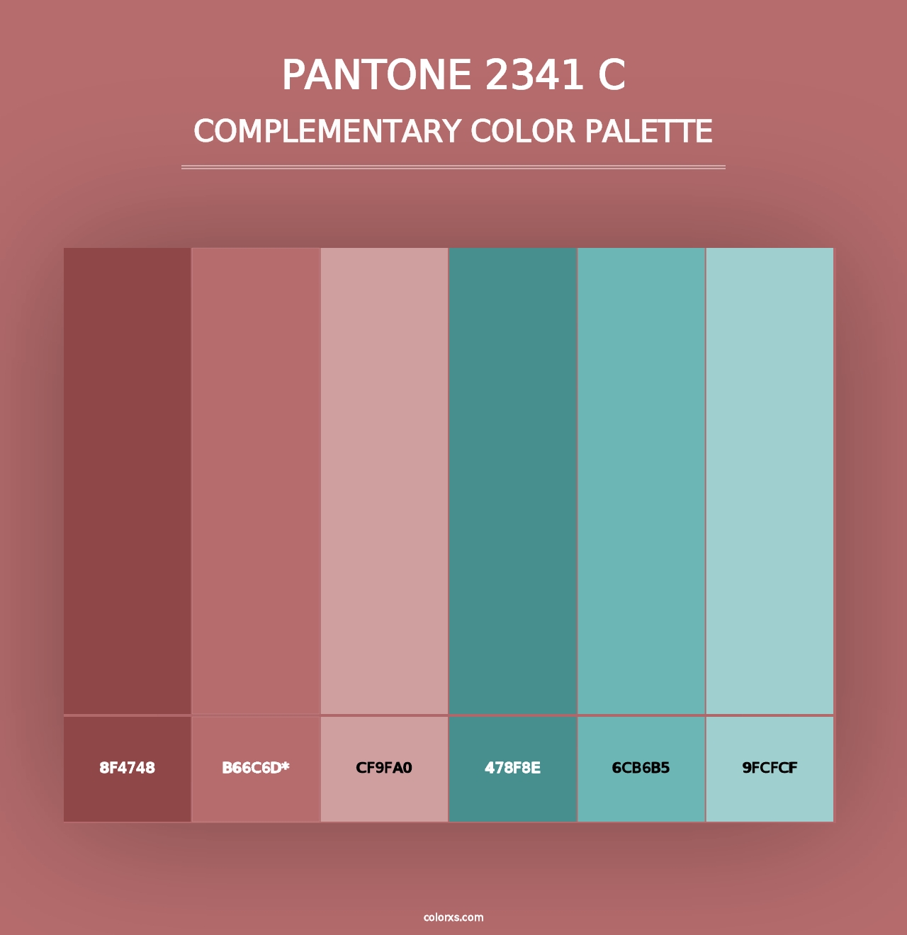 PANTONE 2341 C - Complementary Color Palette