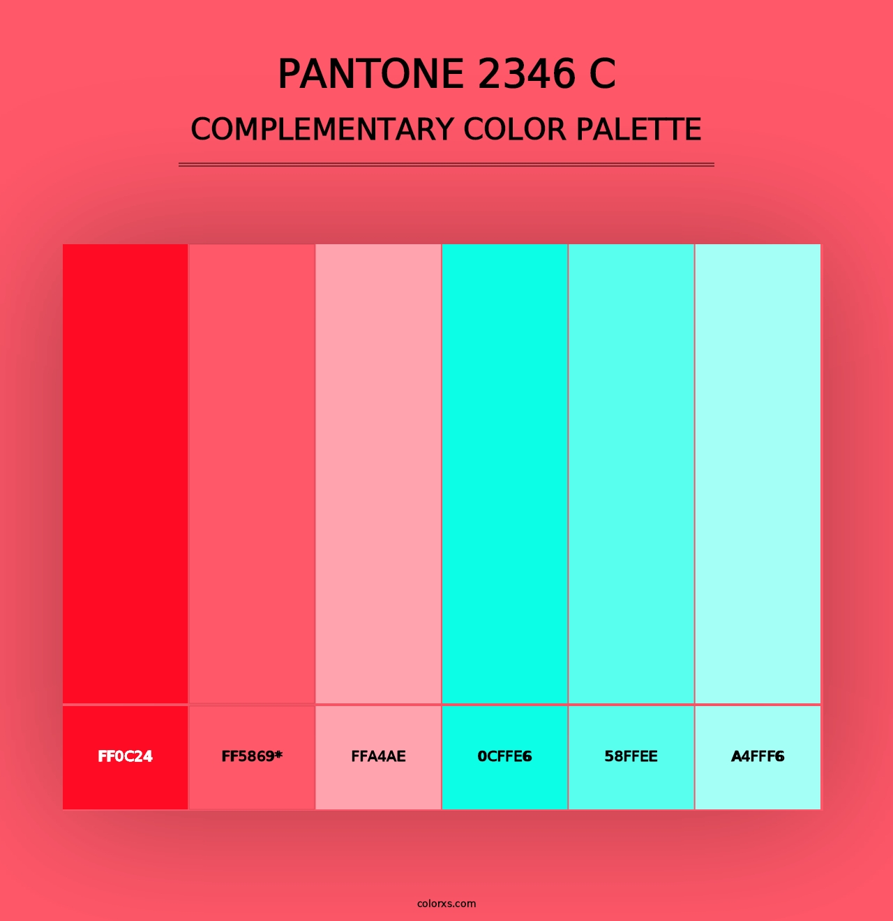 PANTONE 2346 C - Complementary Color Palette