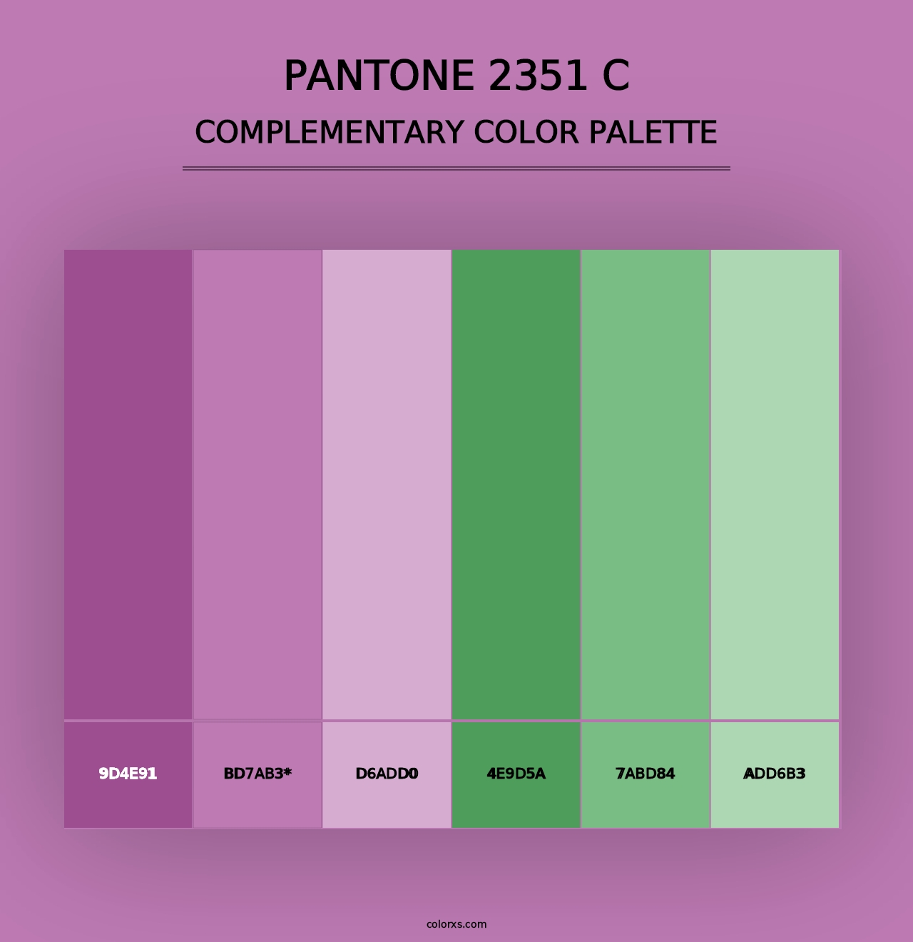 PANTONE 2351 C - Complementary Color Palette