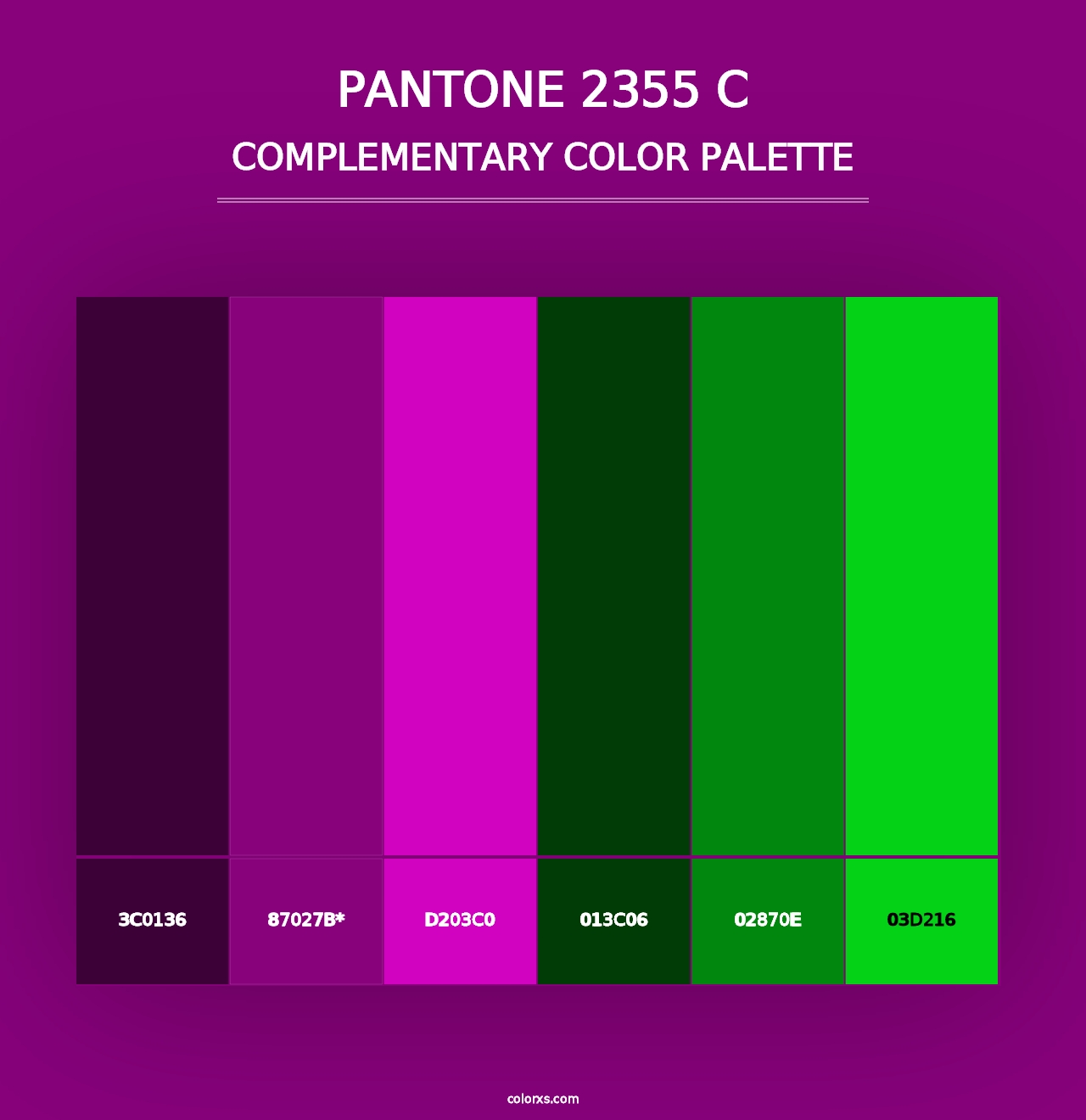 PANTONE 2355 C - Complementary Color Palette