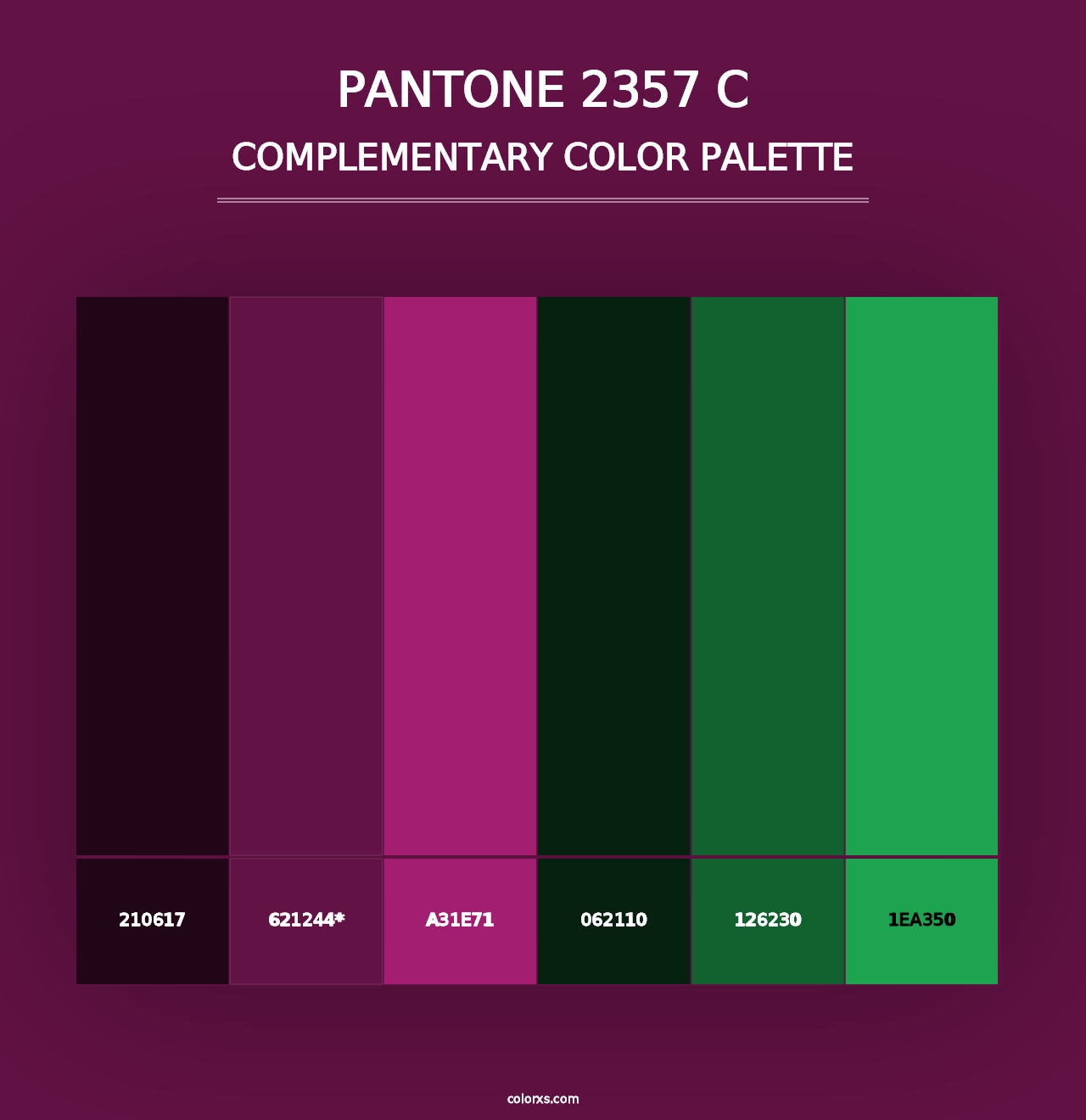 PANTONE 2357 C - Complementary Color Palette