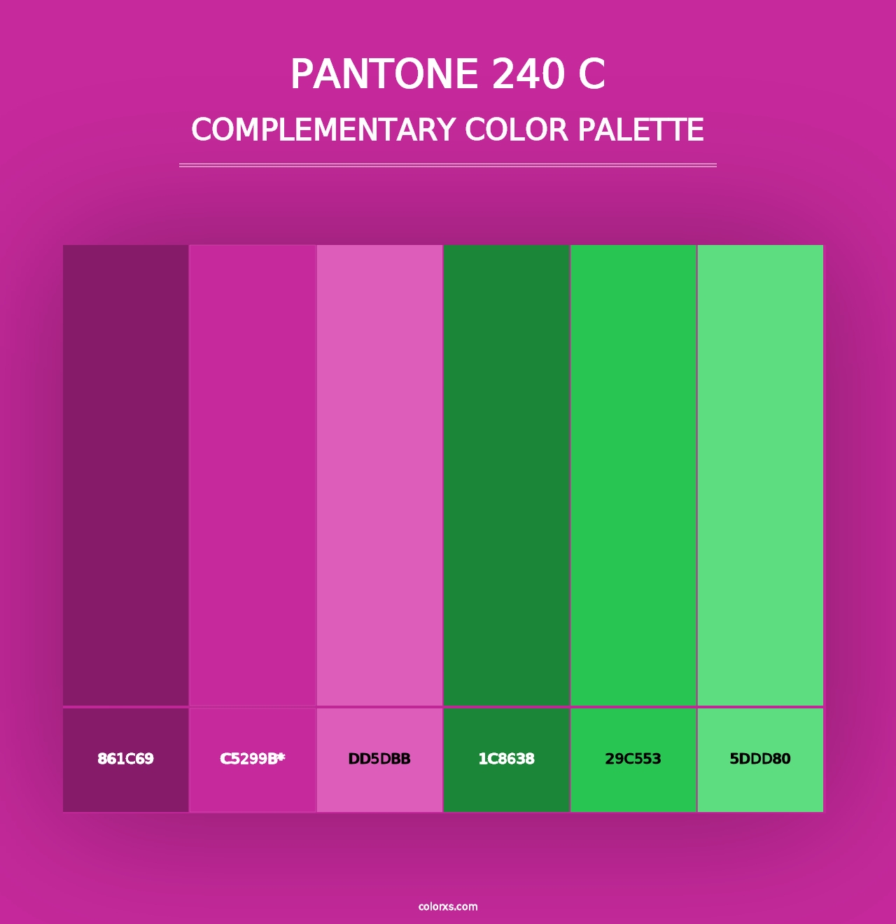 PANTONE 240 C - Complementary Color Palette