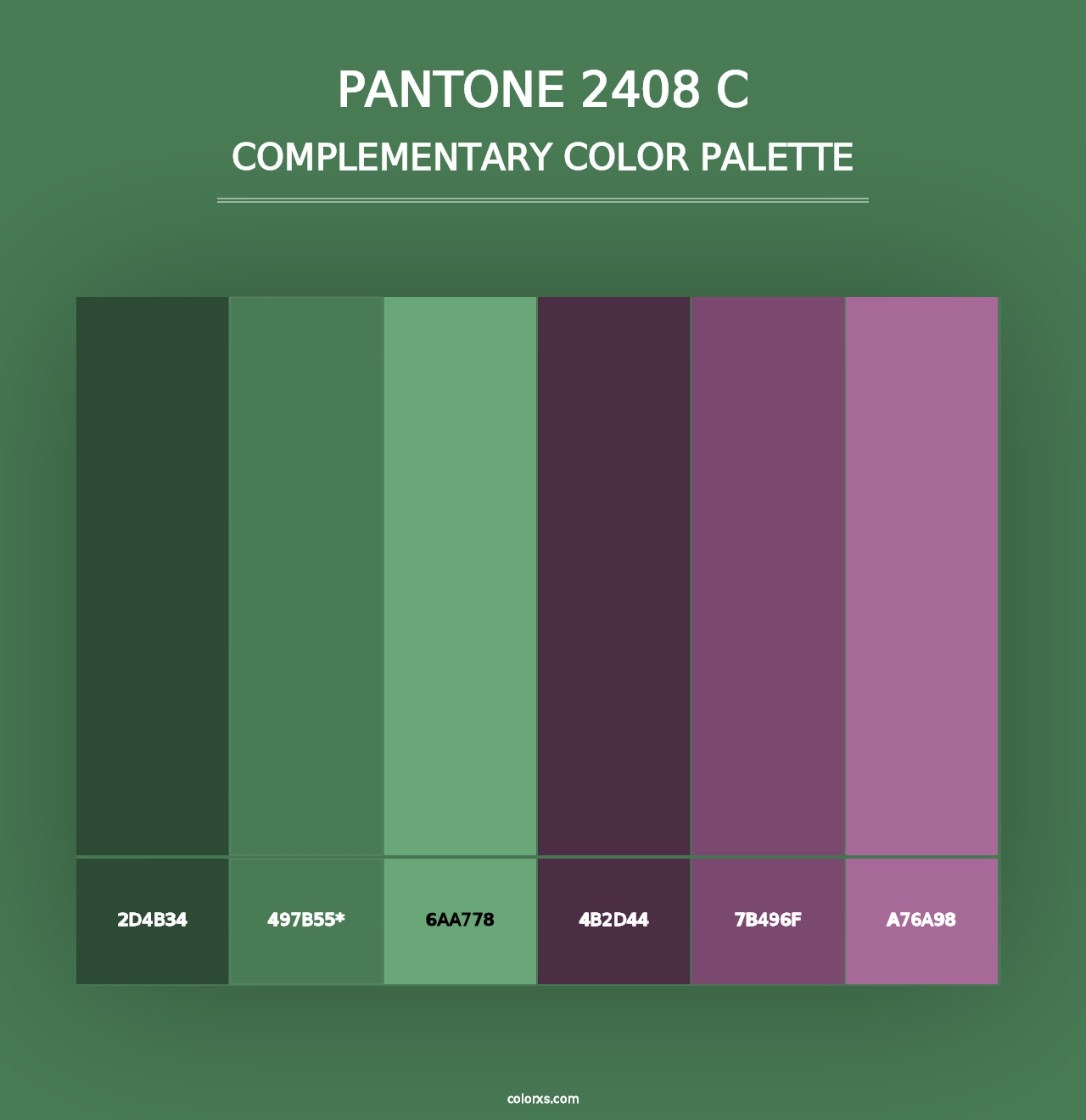 PANTONE 2408 C - Complementary Color Palette