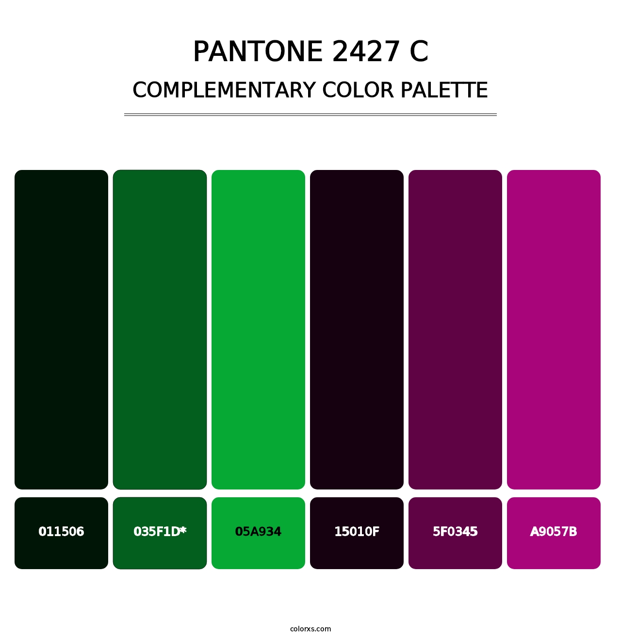 PANTONE 2427 C - Complementary Color Palette