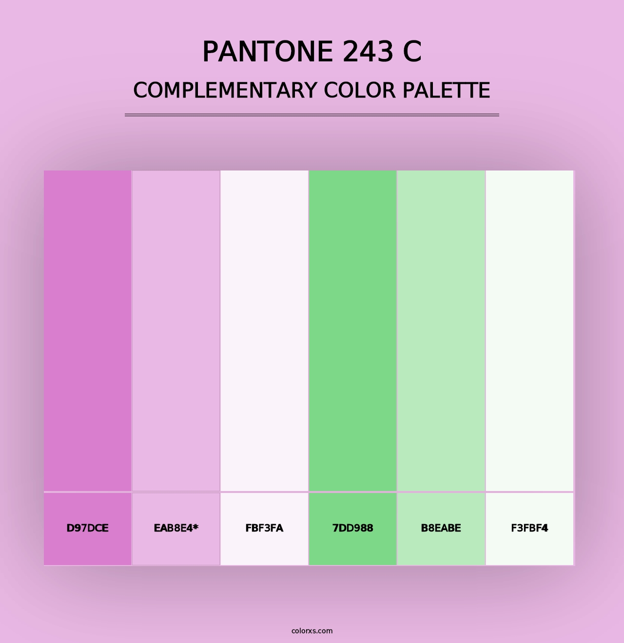 PANTONE 243 C - Complementary Color Palette