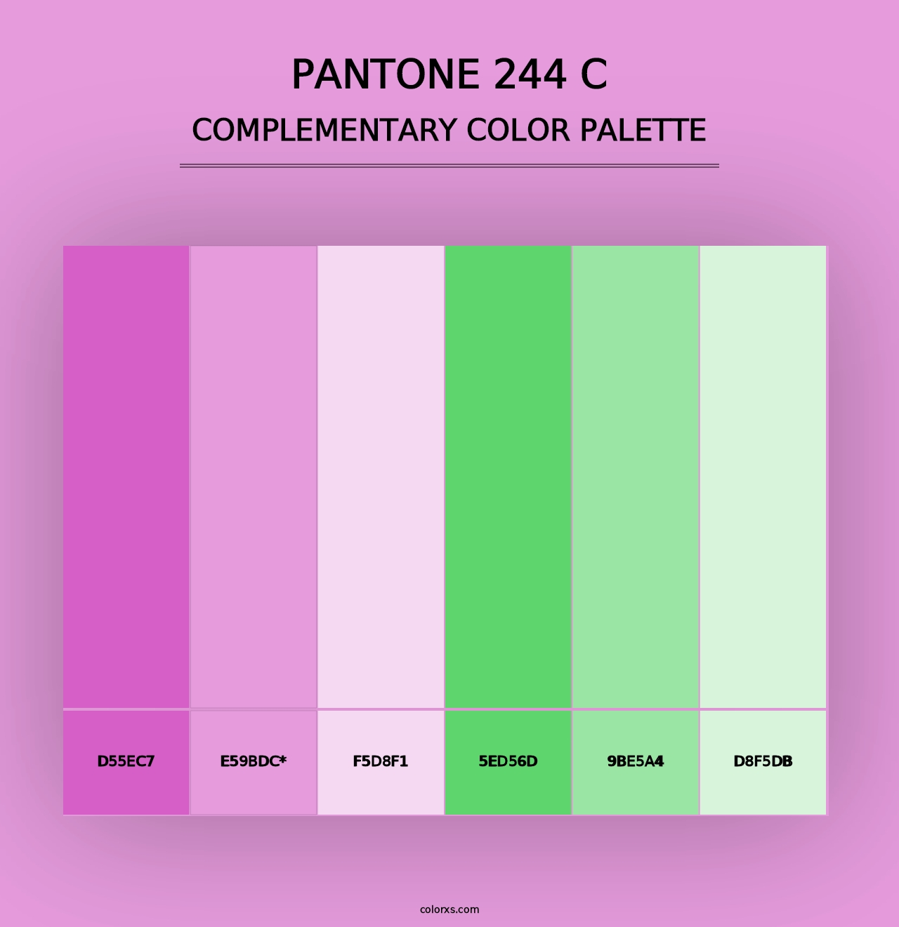 PANTONE 244 C - Complementary Color Palette