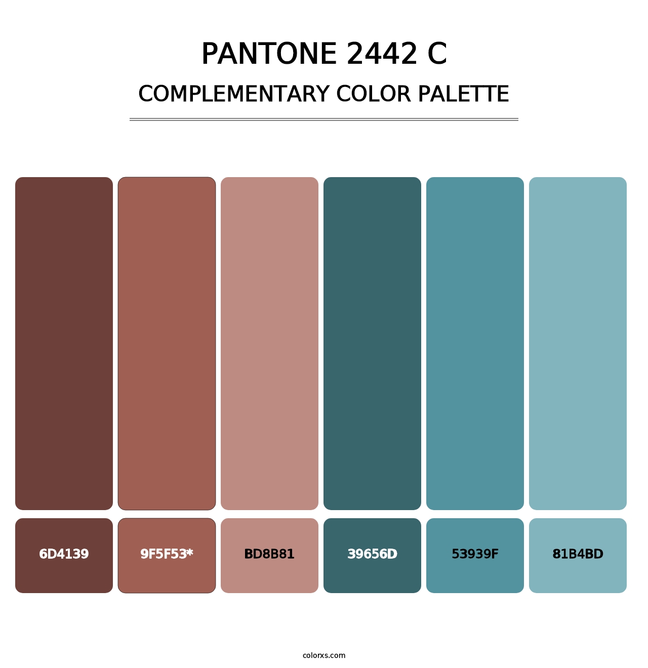 PANTONE 2442 C - Complementary Color Palette