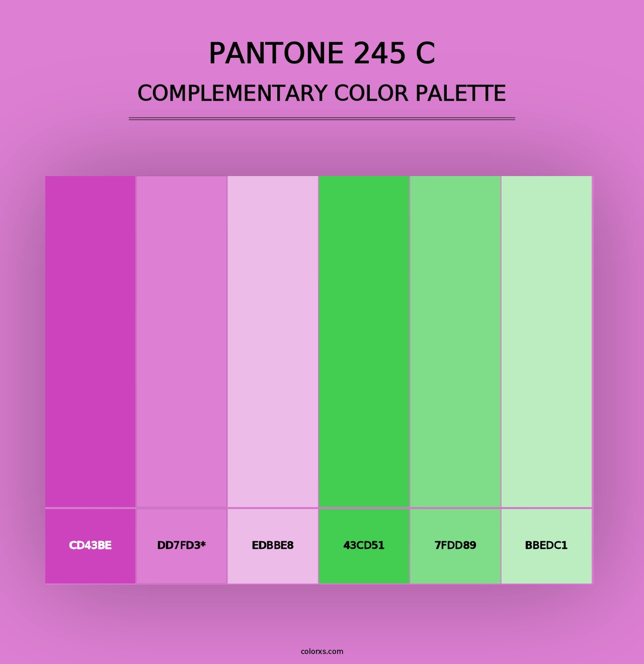 PANTONE 245 C - Complementary Color Palette