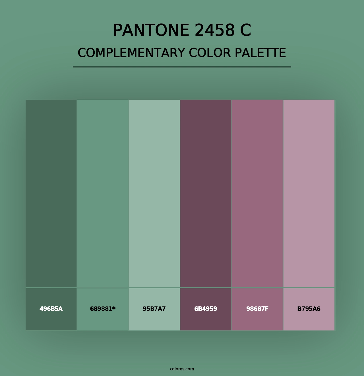 PANTONE 2458 C - Complementary Color Palette