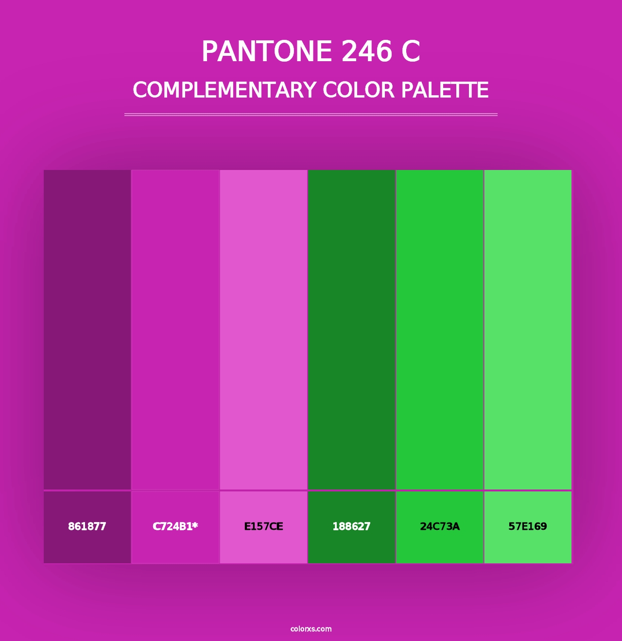 PANTONE 246 C - Complementary Color Palette