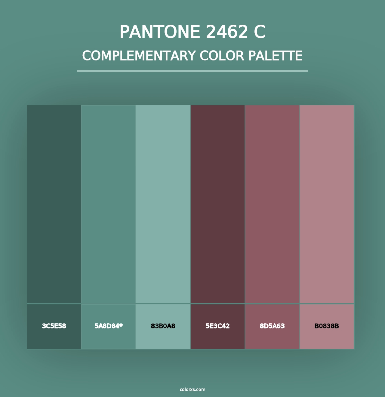 PANTONE 2462 C - Complementary Color Palette