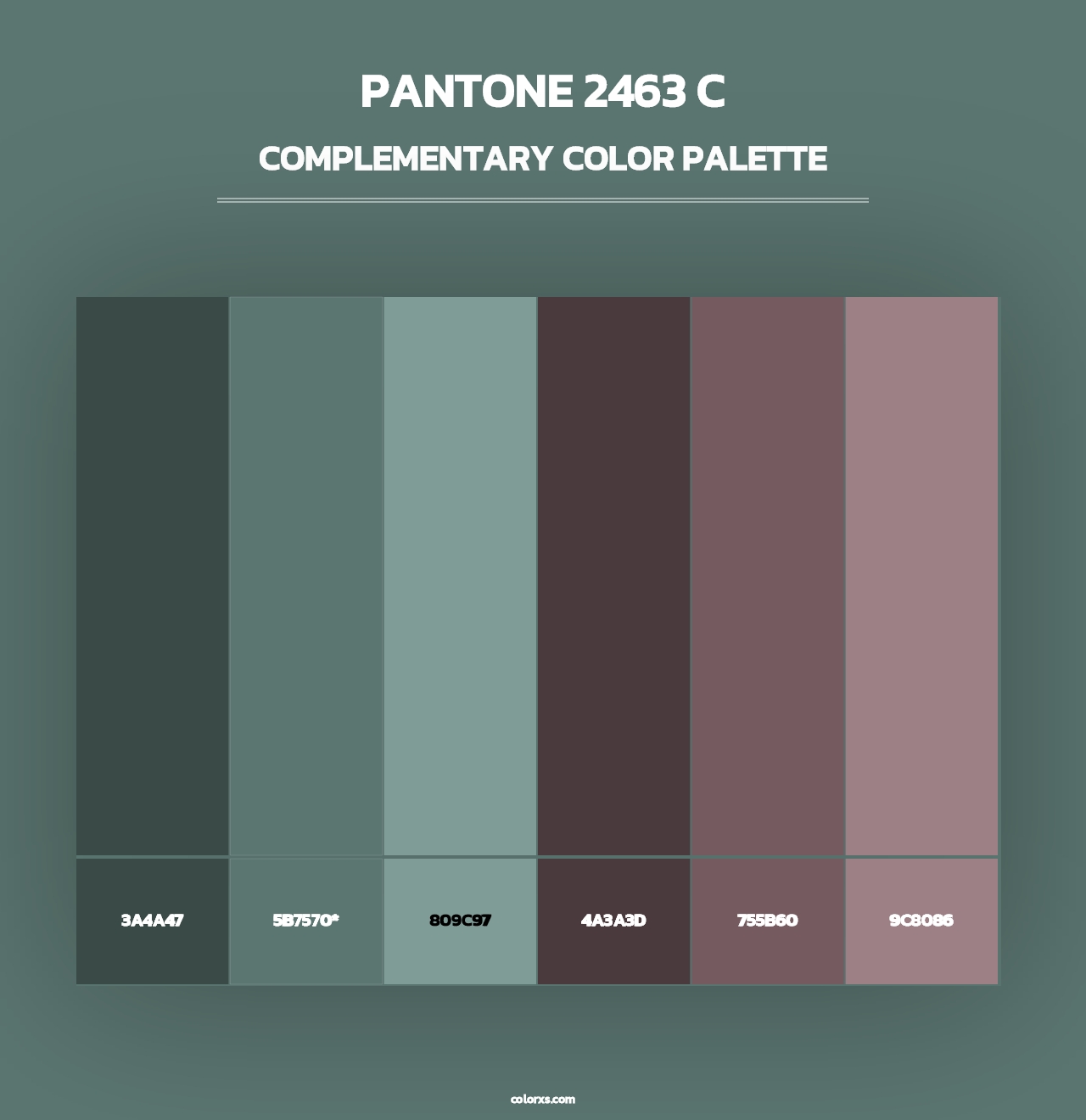 PANTONE 2463 C - Complementary Color Palette