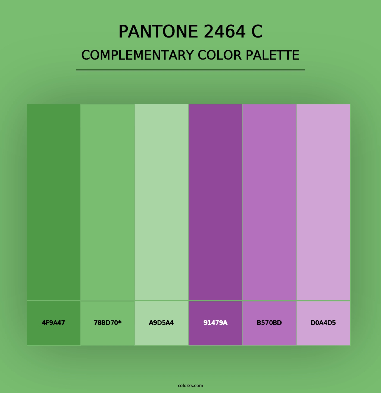 PANTONE 2464 C - Complementary Color Palette