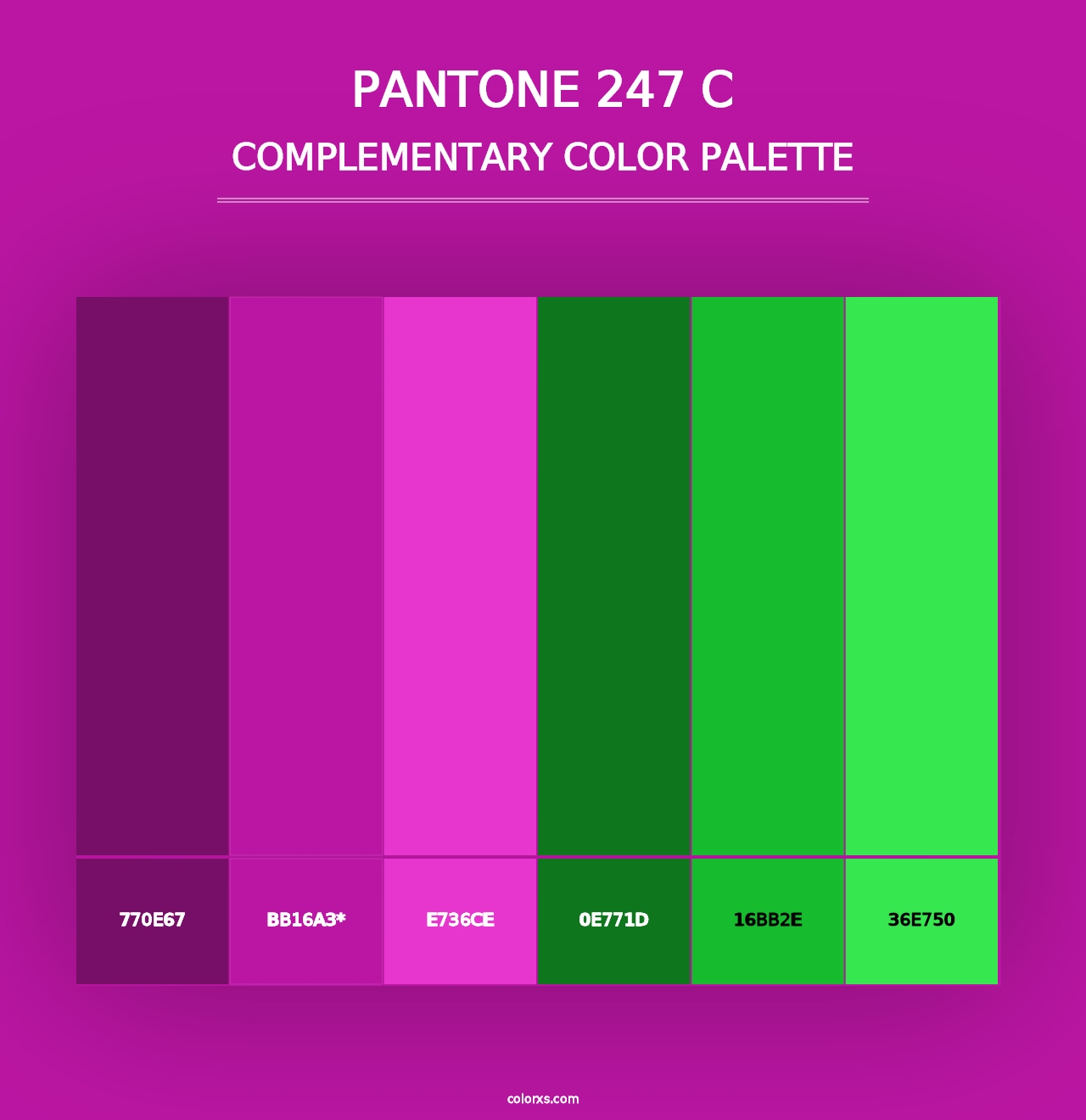 PANTONE 247 C - Complementary Color Palette