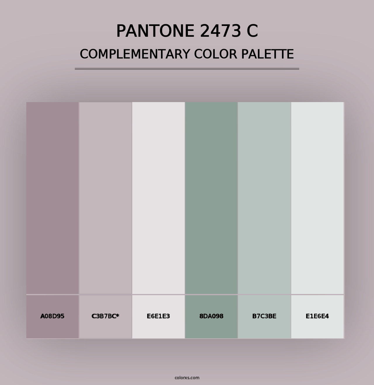 PANTONE 2473 C - Complementary Color Palette